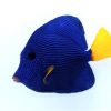 Purple Tang